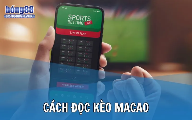 Cách đọc chiến thắng trong kèo