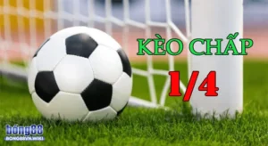 Cách đọc kèo chấp 1/4 chính xác
