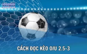 Cách đọc kèo tài xỉu 2.5-3