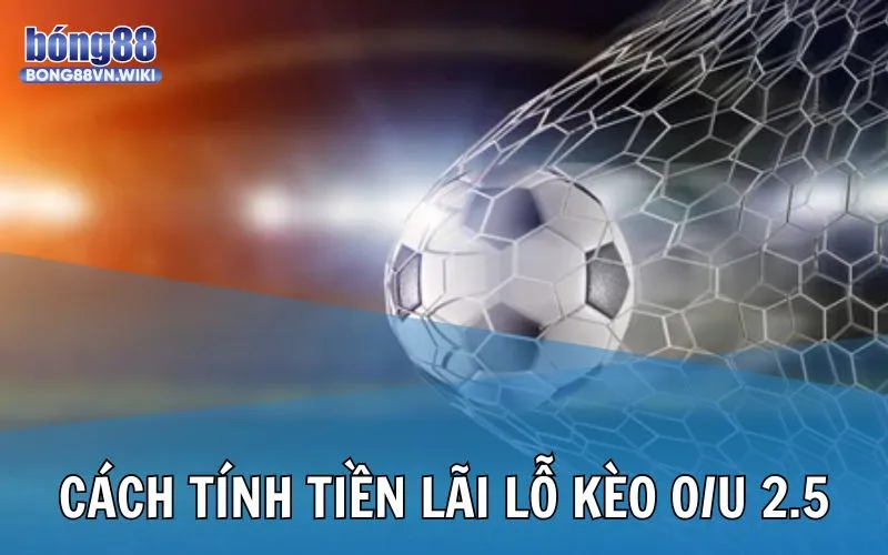 Kèo tài xỉu 2.5 trong cá độ thể thao Bong88 và những điều bạn cần biết Cách tính tiền thắng thua khi cá độ O/U 2.5