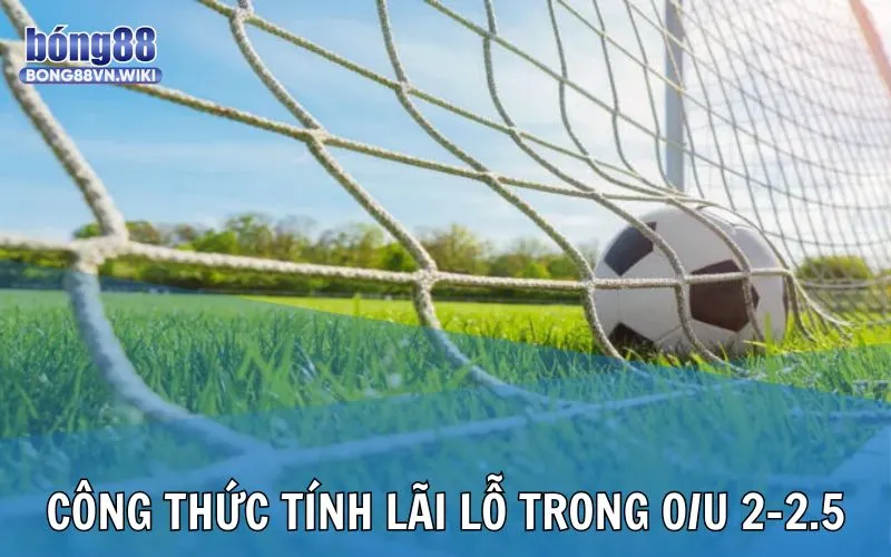 Công thức tính khoản lãi và lỗ khi đầu tư