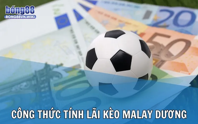 Kèo Malaysia là gì? Bong88 hướng dẫn tính tiền khi thắng cược Công thức tính lãi khi chơi cược Malay dương