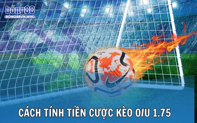 Công thức tính lãi và lỗ khi đầu tư cá độ