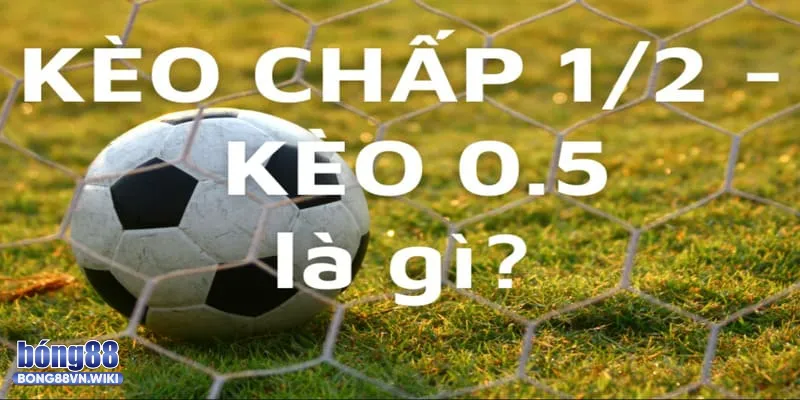 Giải mã kèo chấp 1/2 trong cá cược bóng đá Bong88 và hướng dẫn chơi Giải thích kèo chấp 1/2