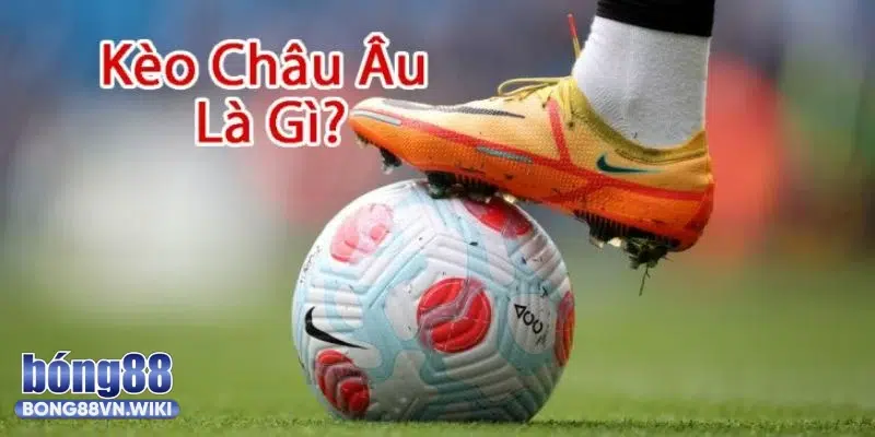 Tìm hiểu về kèo châu Âu