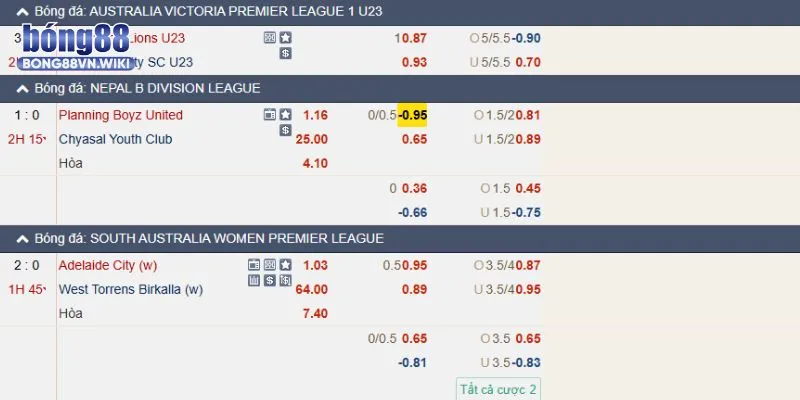 Ví dụ về cá độ trên dưới 1.75