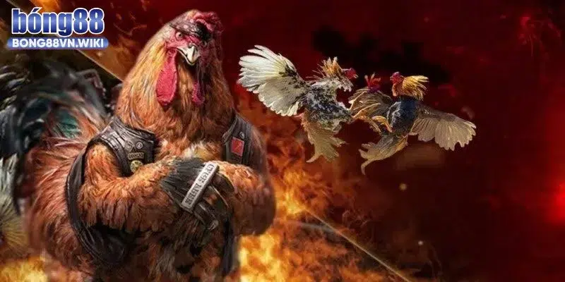Bong88 | Link Vào Bong88 Dome Chính Thức Mới Nhất 02/2026 Trường đá gà bạc tỷ hội viên chỉ có thể tham gia tại Bong88.